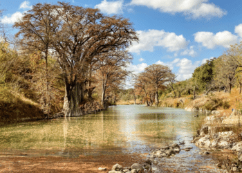 Texas Today