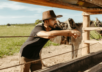 The Influence of Rodeo Culture on Everyday Life in Texas | Texas Today