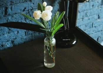 The Sweet Smell of Serenity: Floral Essential Oils in Aromatherapy