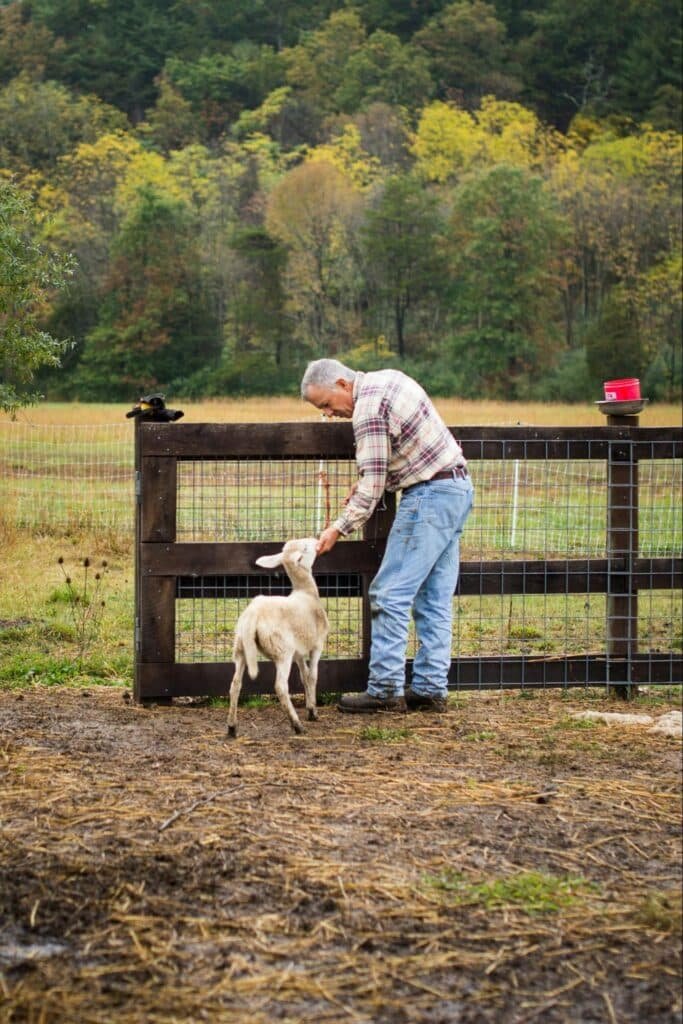 Meg Miller: Humane Handling Practices in Farm Animals