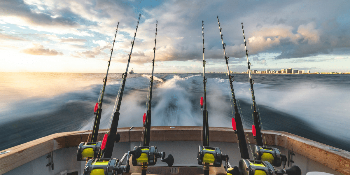 Choosing the Right Bait Cooler for a Successful Fishing Trip