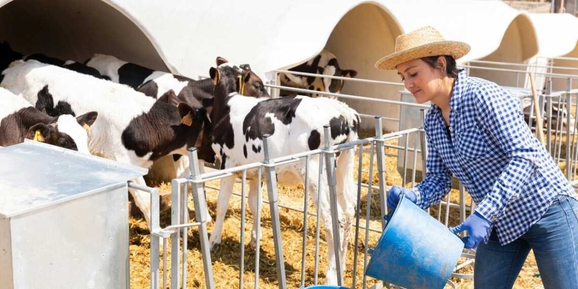 Texas Ranching: A Historical and Contemporary Perspective - Texas Today