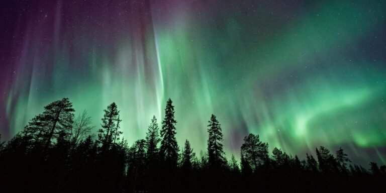 Texas Sky Show Brings Northern Lights Across the State