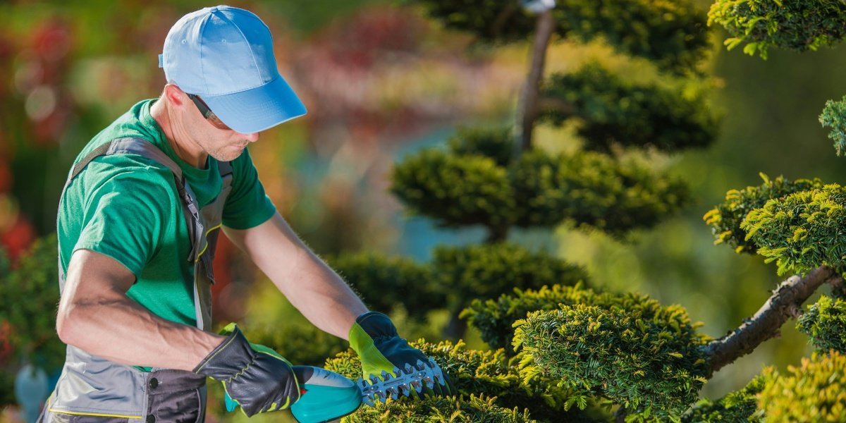 Truvian Lawn Care Crafting Beautiful Outdoor Spaces Across Dallas–Fort Worth