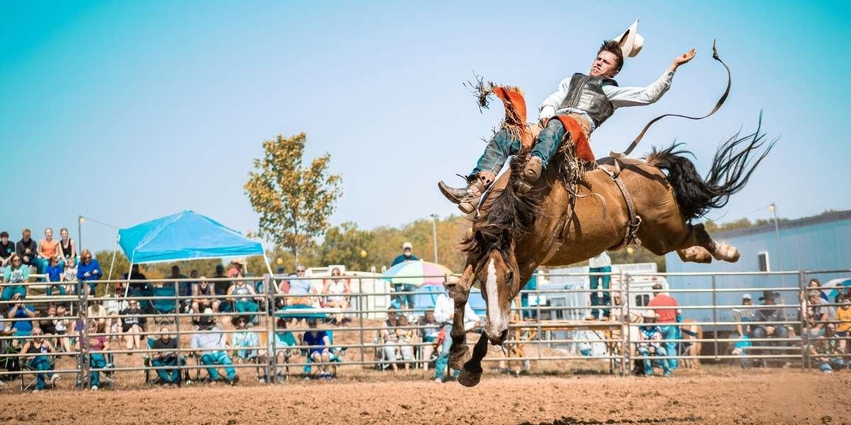 San Antonio Eyes Year-Round Rodeo as Cultural and Economic Engine