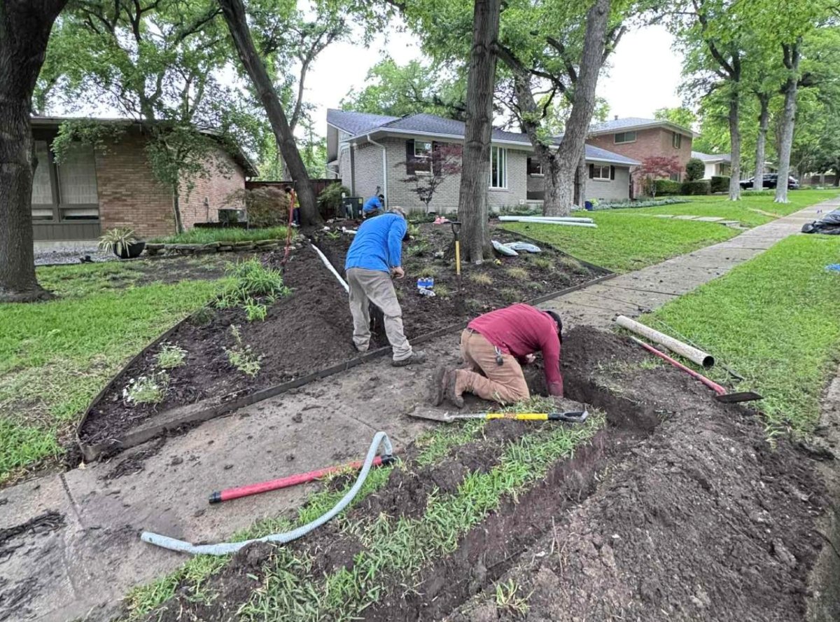 CGreens Smart Drainage Solutions That Protect and Enhance North Texas Landscapes