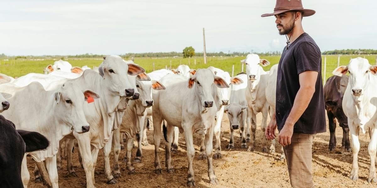 Ranchers Cite Supply Barriers as Beef Prices Hit New U.S. Highs