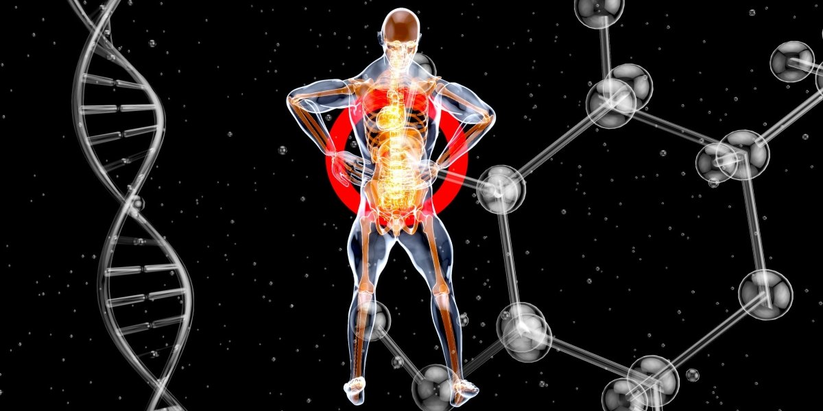 Fibromyalgia in Charlotte and Drug-Free Care Options