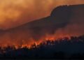 Ross Fire Becomes Texas’ Largest Summer Wildfire Since 2005