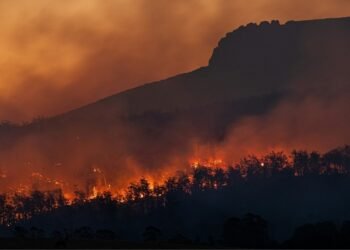 Ross Fire Becomes Texas’ Largest Summer Wildfire Since 2005