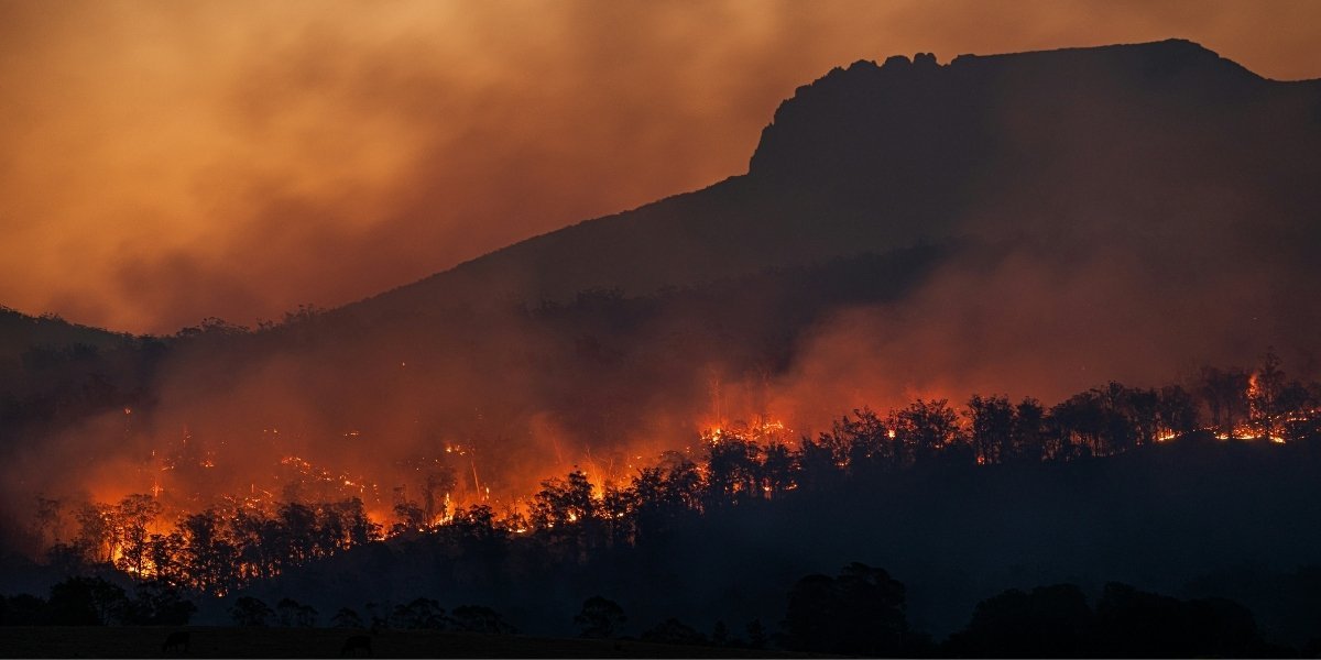Ross Fire Becomes Texas’ Largest Summer Wildfire Since 2005