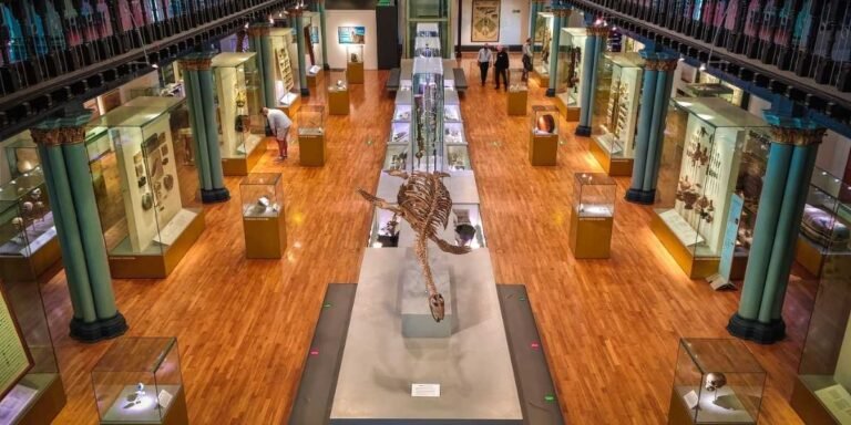 Witte Museum Centennial Revisits Unsolved Diamond Theft