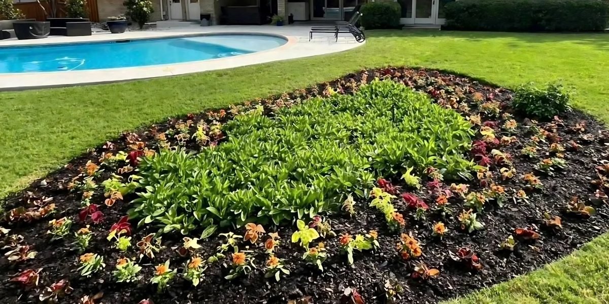 CGreens Elevates Landscape Design in Dallas-Fort Worth: Transforming Outdoor Spaces with Expertise and Innovation