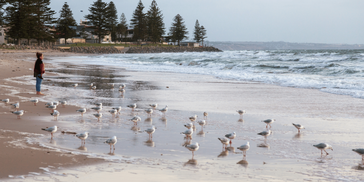 Exploring Adelaide, Australia A Perfect Weekend Getaway