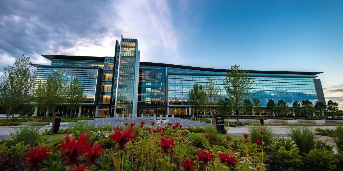 Office Landscaping by Plant Care Co Landscapes That Support Professional Workspaces