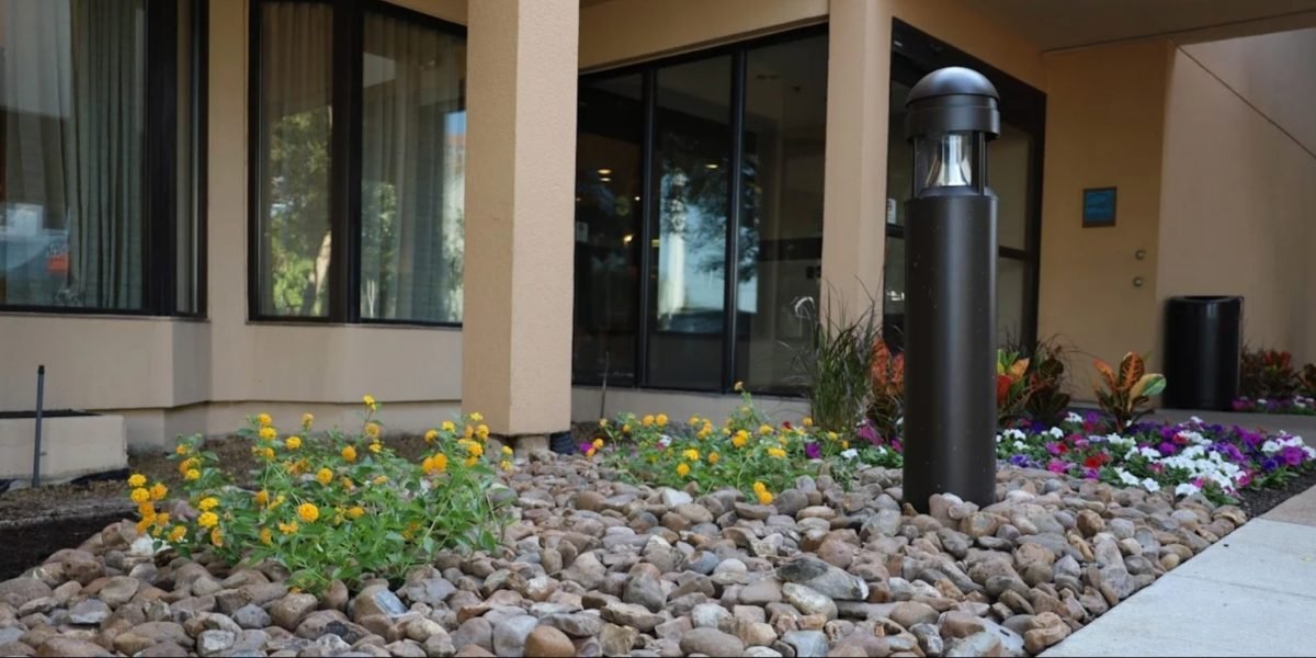 Plant Care Co. Helping Enhance Corporate Landscaping in North Texas