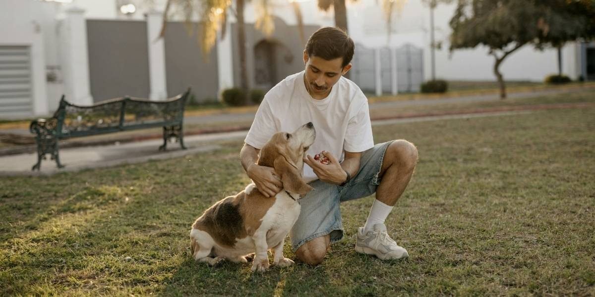Texas Celebrates National Dog Day with Pet-Friendly Events