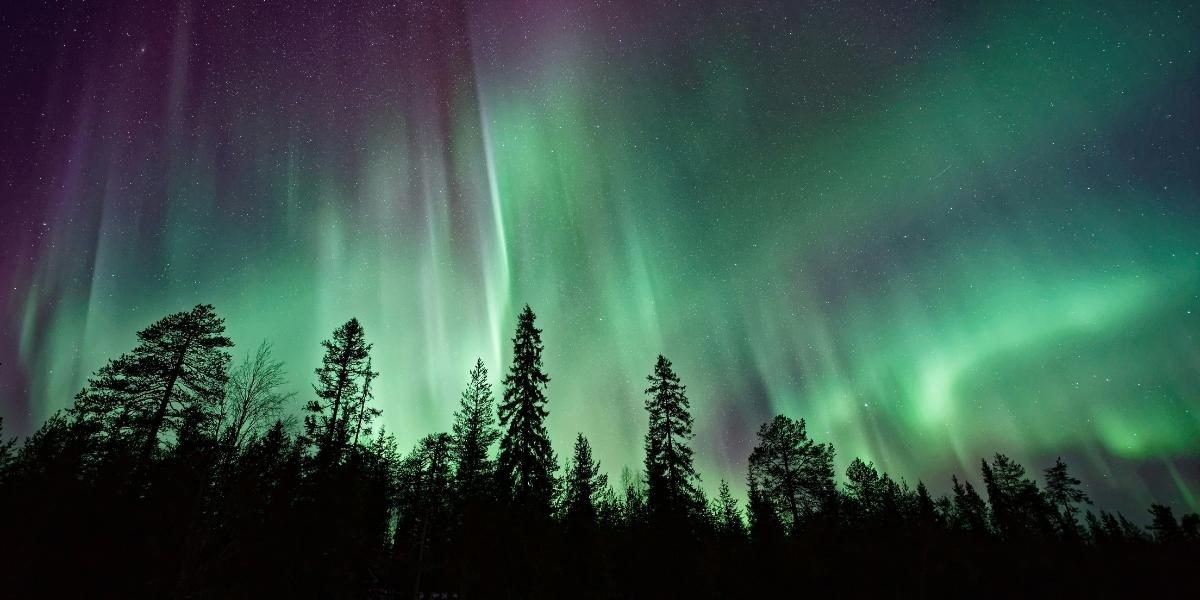 Texas Sky Show Brings Northern Lights Across the State