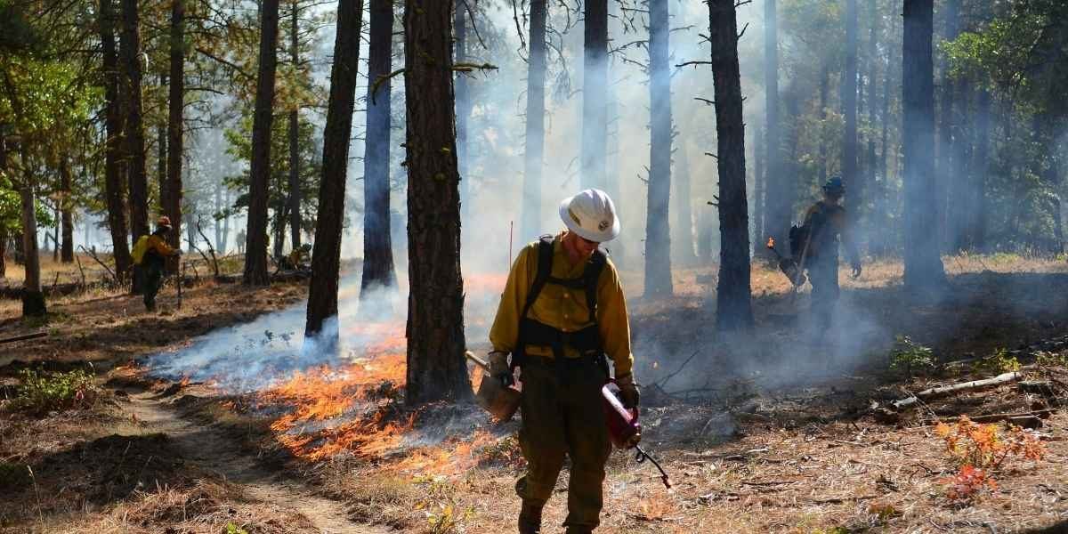 Texas Wildfire Plans Face Year-End Utility Filing Deadline