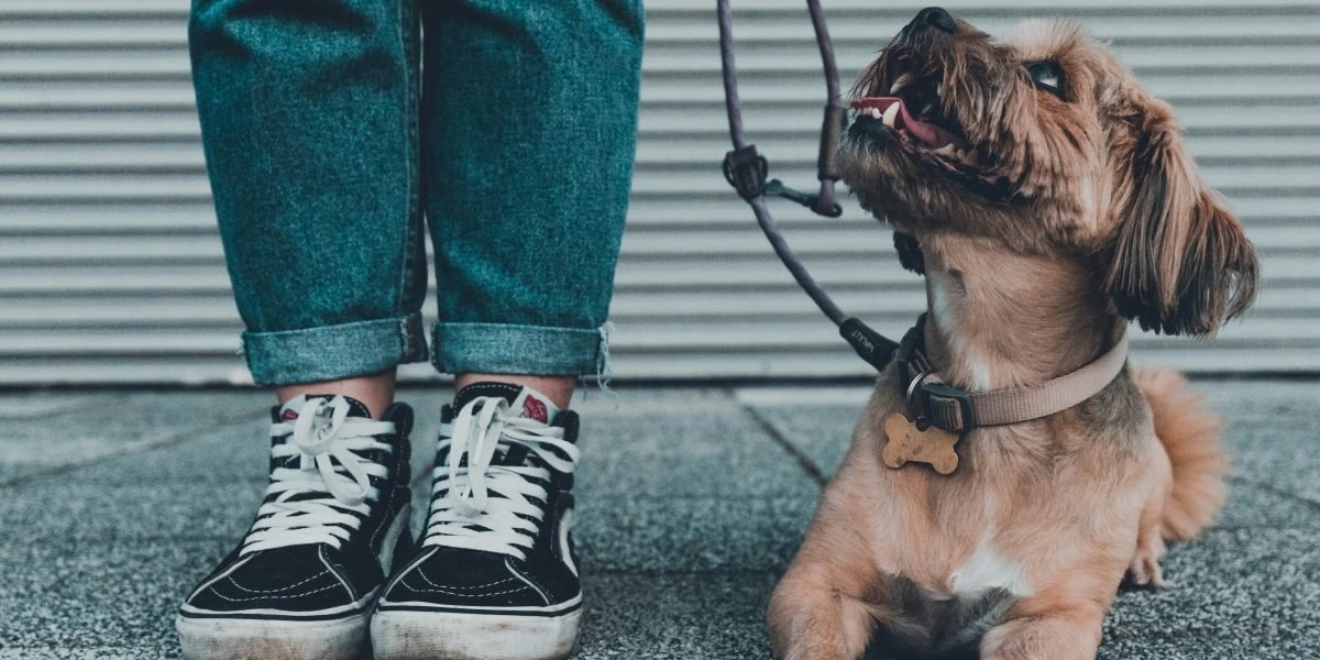 Why Dr. Connor Robertson Builds Operator-Led Companies, Not Owner-Dependent Ones