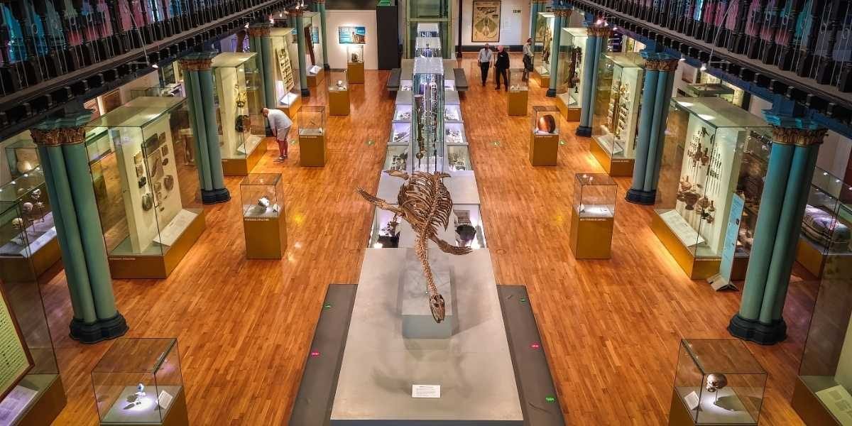 Witte Museum Centennial Revisits Unsolved Diamond Theft
