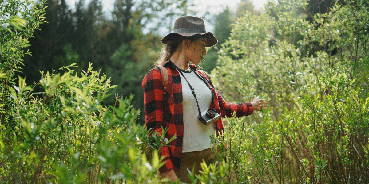 Discover the Wonders of Big Bend National Park: A Hiker’s Paradise