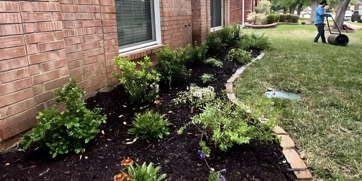 CGreens Landscape Design With Intention, Balance, and Lasting Value