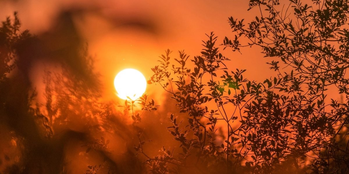 Powering Texas Summers Responsibly: Energy-Efficient ACs Help Texas Keep Cool and Grid-Stable